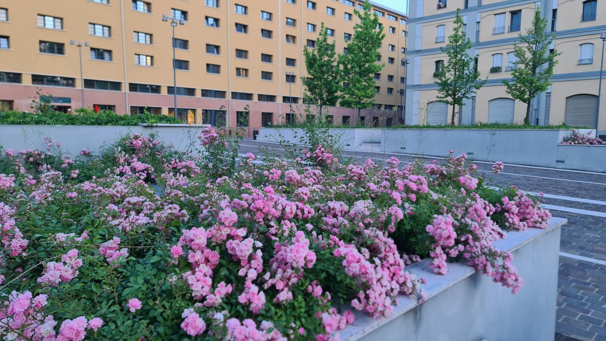 Milan Space Loft - Apartment Close To M5 Subway - Free Parking - Sky & Netflix Tv Eksteriør bilde